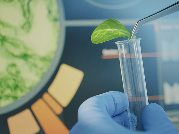 青岛岛津检测技术服务有限公司